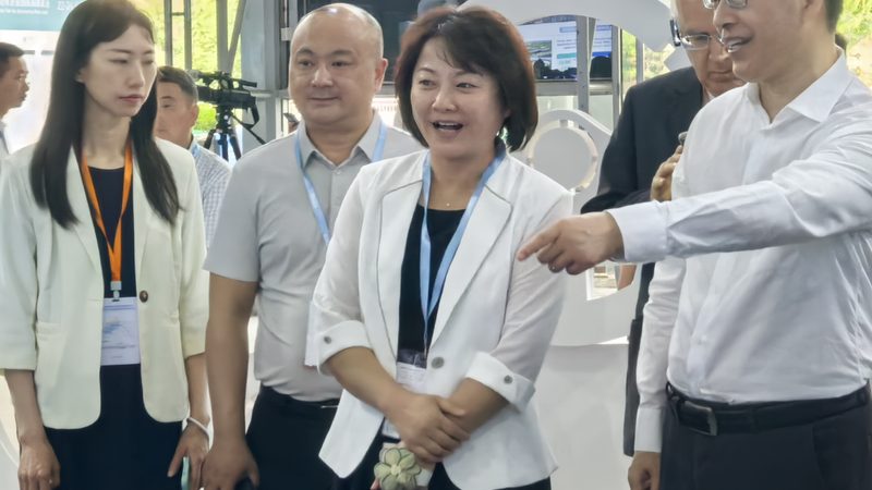 刹车片原厂与副厂：如何辨别真伪，保障行车安全